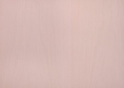 Fog 008 - Maple