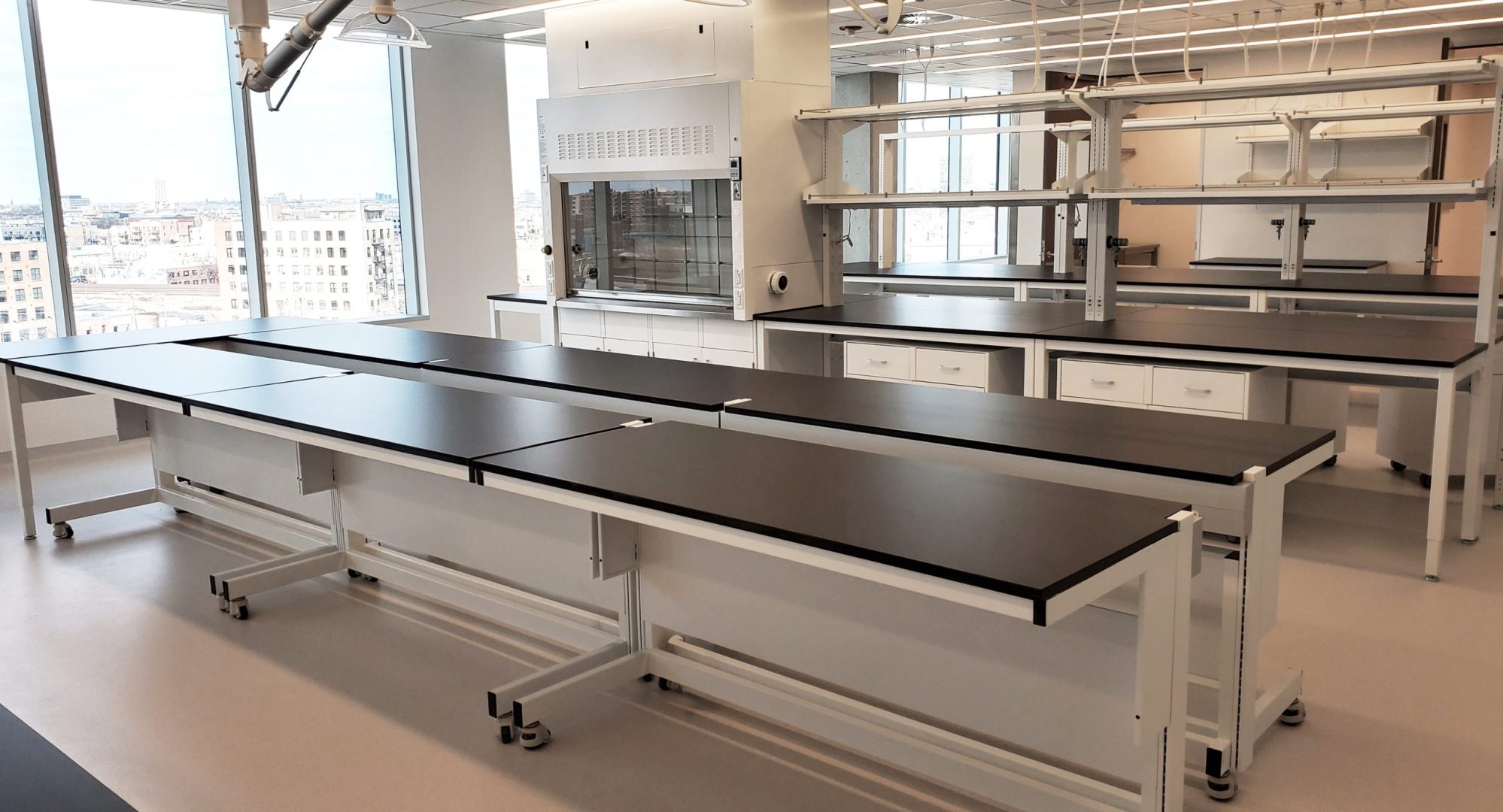 Low Sigma Carts, Altus benches with cabinets below, and Pro Series fume hood, in a lab