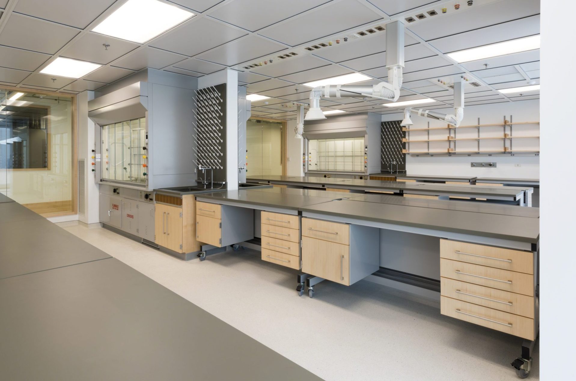 Low Sigma Carts with suspended casework, SafeGuard fume hood, in a lab