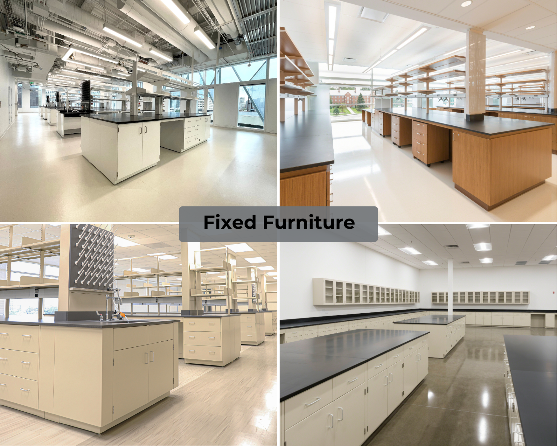 Sigma Carts with cabinets below the worktop, Pro Series fume hoods, in a lab